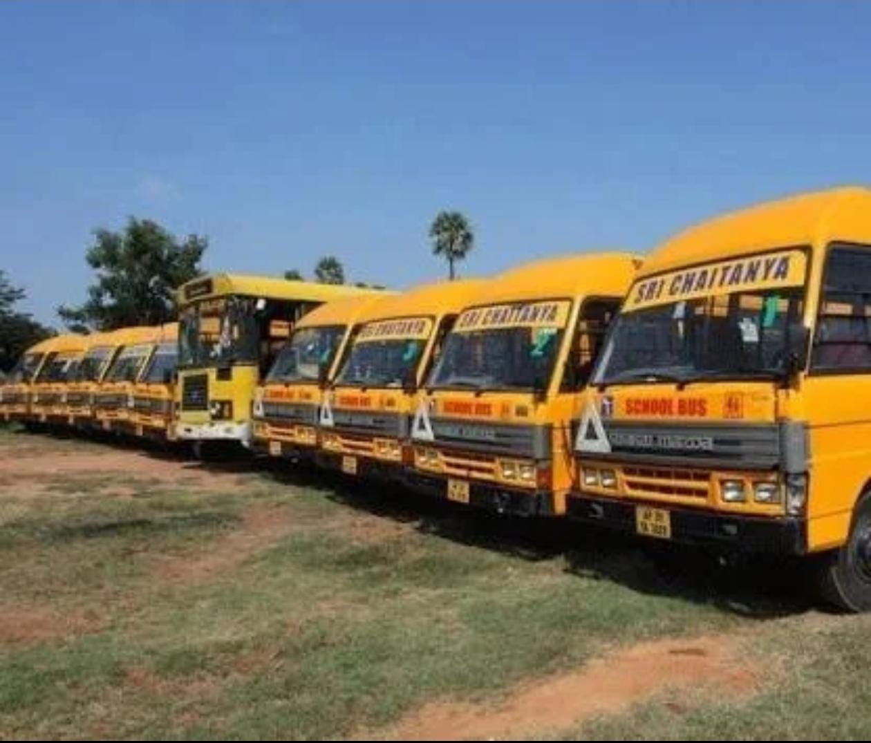 Sri Chaitanya School