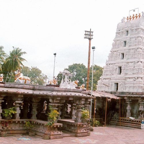 Sri Jagadambha Sametha Mallikarjuna Swamy Temple
